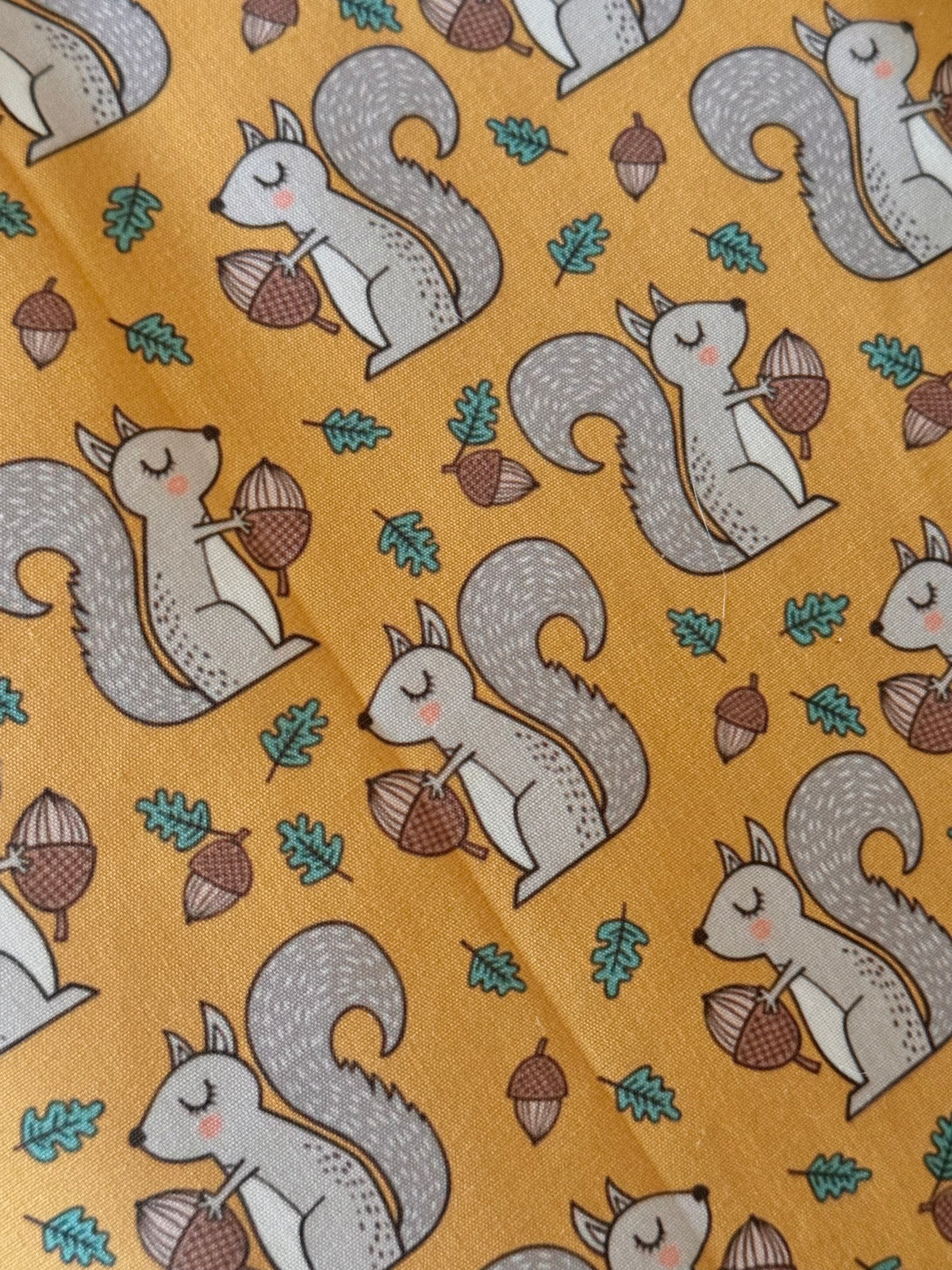 Funda Libro Ardillas Otoñales