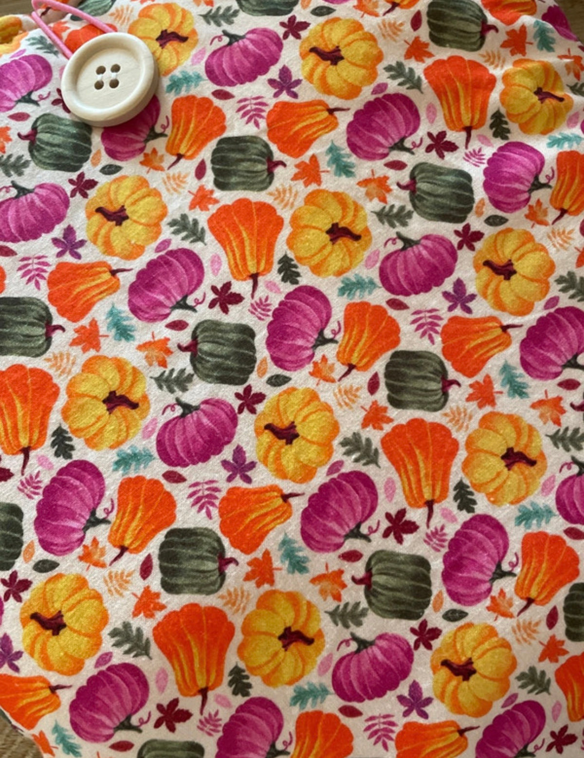 Mini Pumpkin Book Sleeve